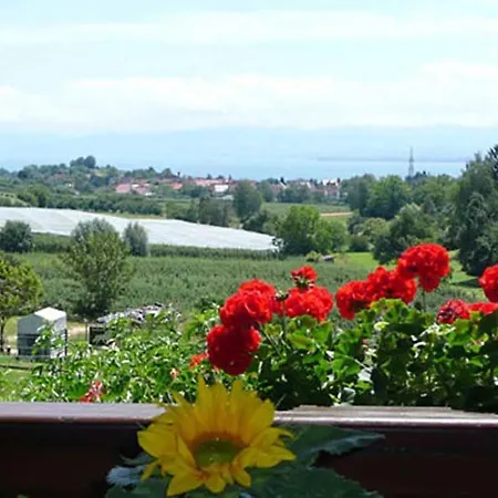 Alpenblick-weingut Geiger メーアスブルク